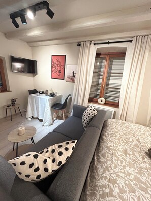 Living area - Apartment Hyper Center of Strasbourg (Strasbourg)