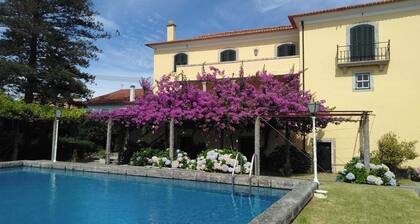 Apartment in Lagares. The cozy refuge with tradition!