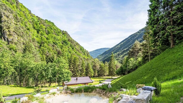 Ein rustikales Blockhaus mit Metalldach, eingebettet in eine natürliche Landschaft mit Teich, Bäumen und Hügeln.