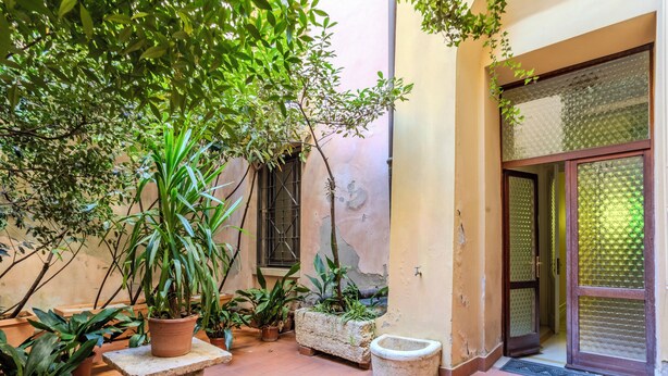 A courtyard with potted plants, a stone bench, and a door with frosted glass panels. - Absolute Center, Parking - (Private Museum) (Mantova)