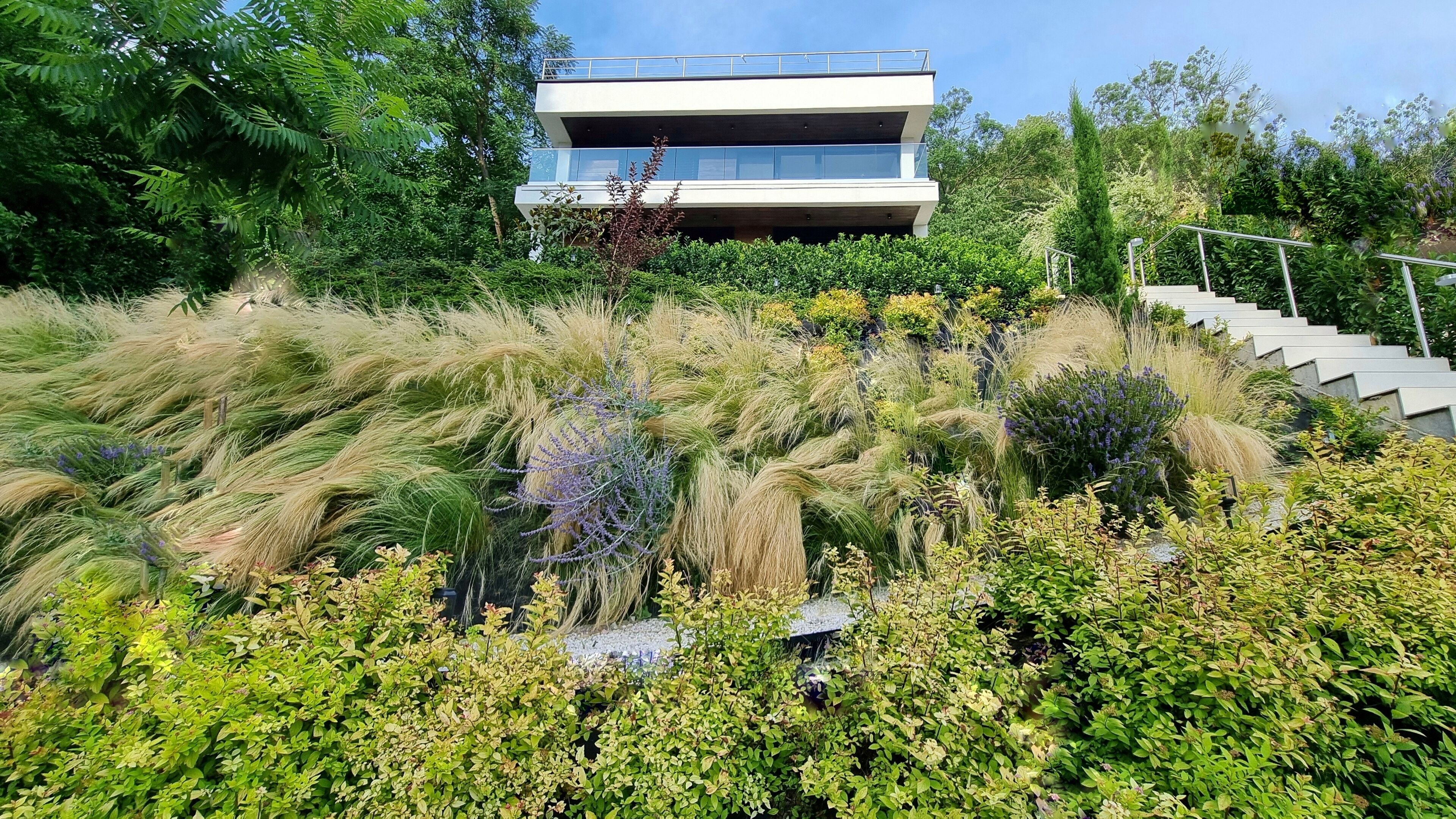 المنطقة المحيطة بالمنشأة