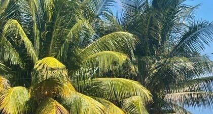 3-bedroom ocean front bungalow in delightful Long Bay, Portland with cool AC