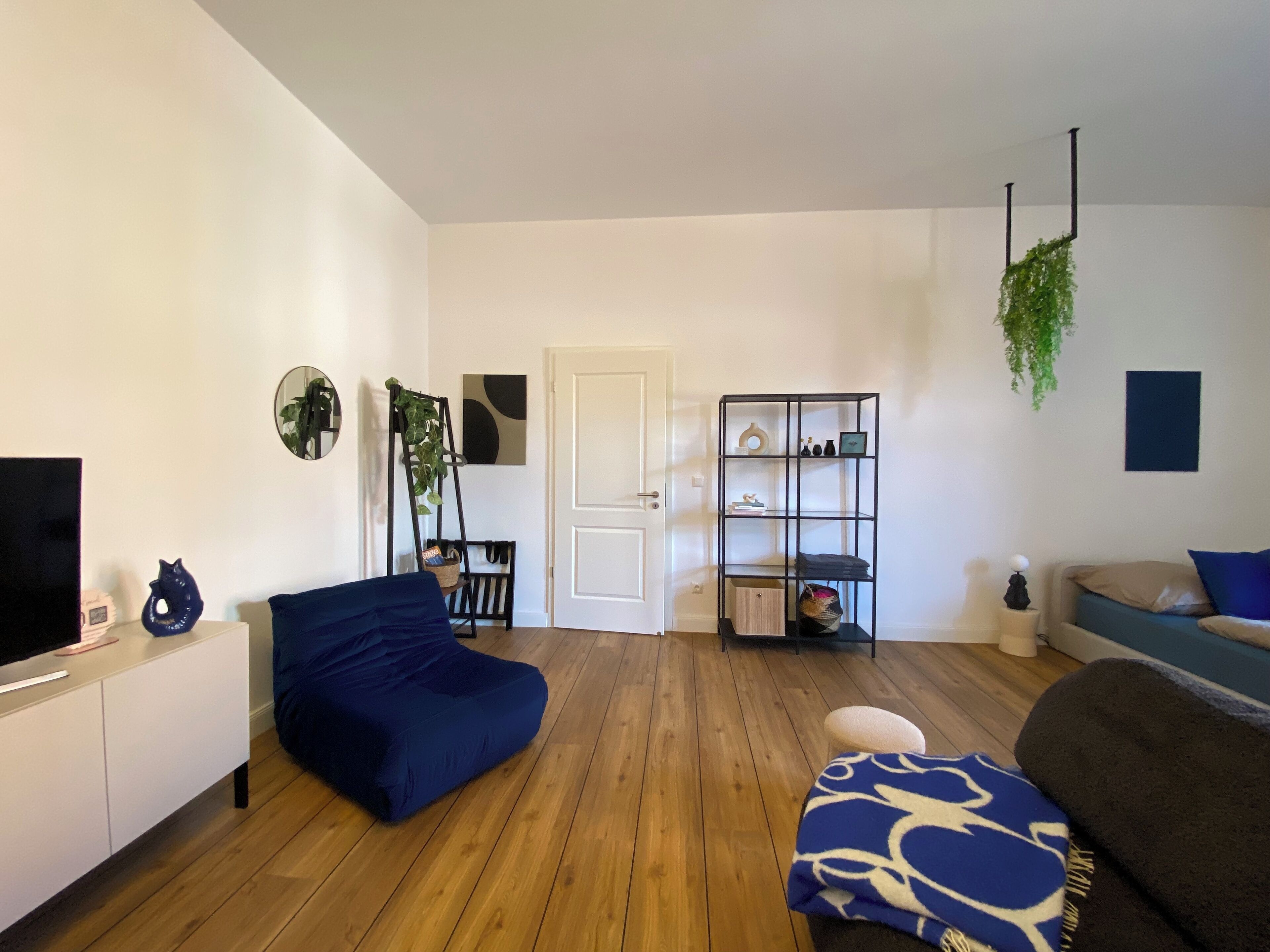 A modern living room with a sofa, a TV, a bookshelf, and a door.