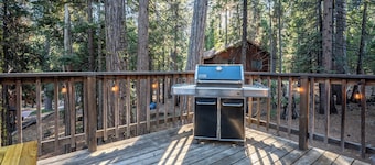 Bennetts’ Bear Den | Game Room • Cozy Forest Cabin