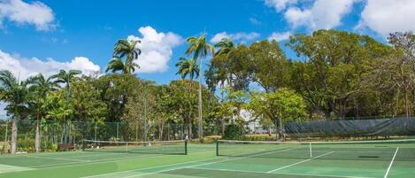 Apartment, 1 Bedroom | Sport court