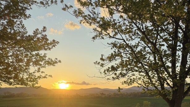 A wooden deck with a view of a grassy field and sheep, leading to a seating area with chairs and a table. - Circle F Ranch Bunkhouse- Charming farm stay in Shenandoah county- whole house (Edinburg)