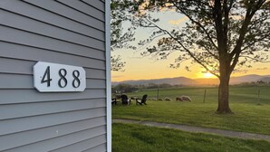 A house number 488, a grassy field with sheep, and a tree. - Circle F Ranch Bunkhouse- Charming farm stay in Shenandoah county- whole house (Edinburg)