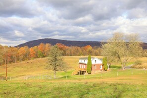 Property grounds - Charming 3-bedroom Farmhouse in Newport (Newport)