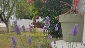 Property grounds - Entire villa - Entre Chay & Pontaillac in Royan (Royan)