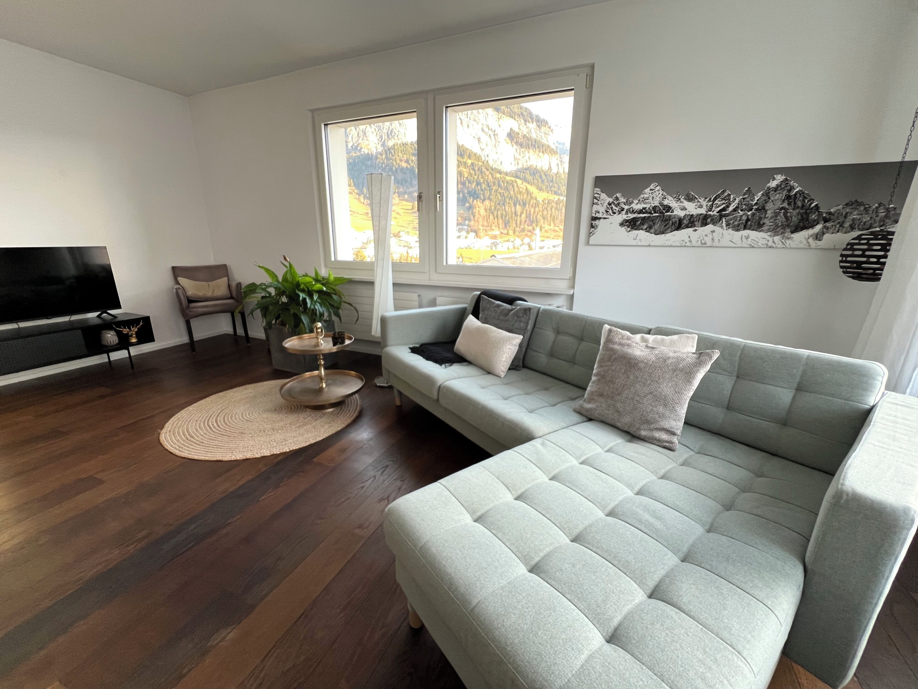 Smart TV, fireplace, books