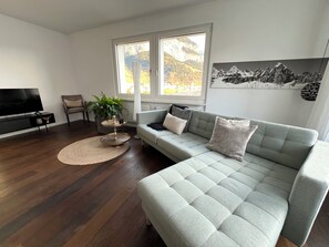 Smart TV, fireplace, books