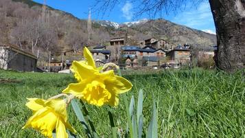 House | View from property