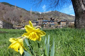 House | View from property - Casa La Pica With Access to the Garden (Alins)