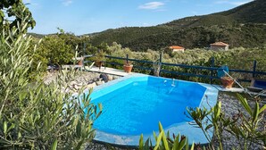 Une piscine rectangulaire entourée de plantes et délimitée par une clôture bleue, avec une colline et des bâtiments en arrière-plan.