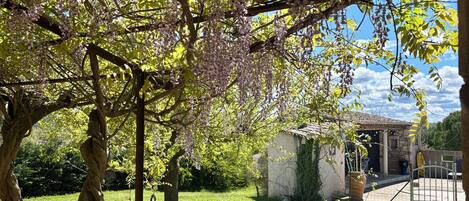 Terrein van de accommodatie