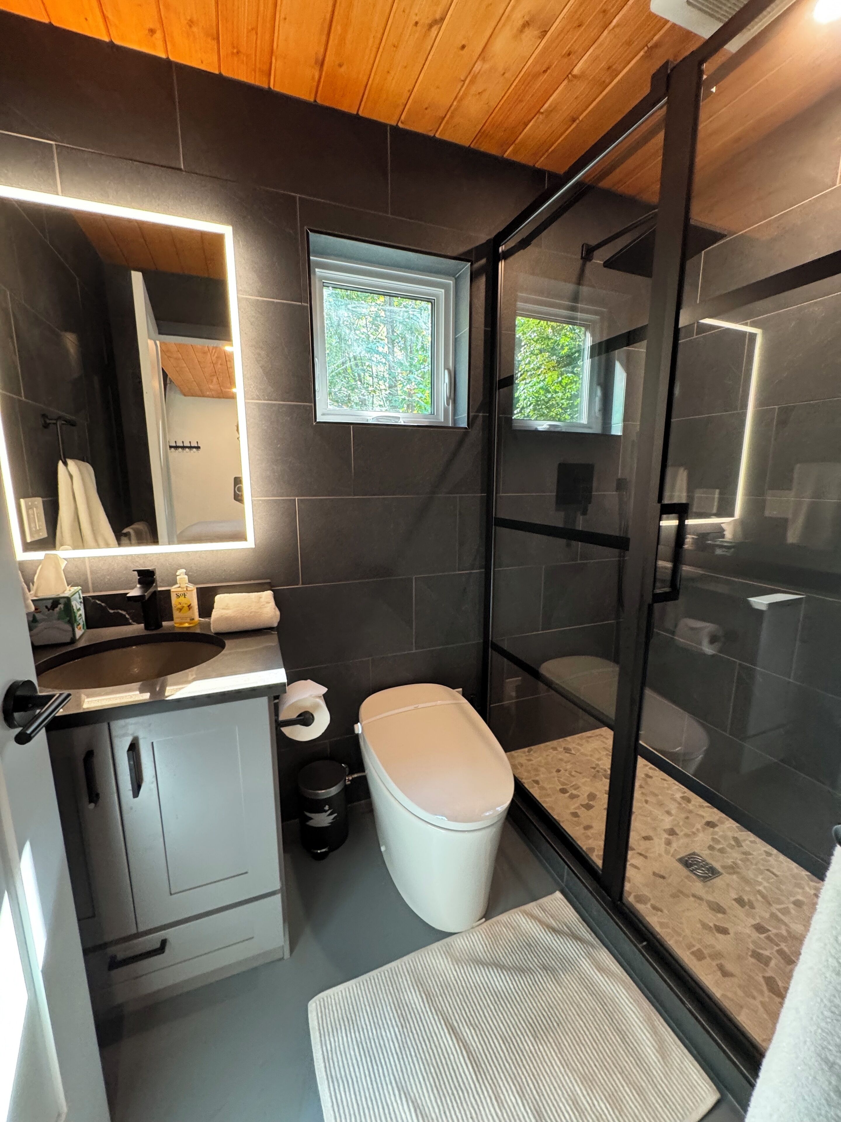 Shower, hair dryer, bidet, towels