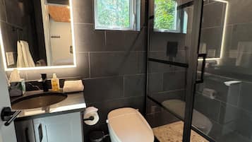 Shower, hair dryer, bidet, towels