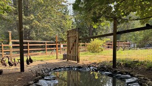 A fenced outdoor area with a pond, wooden fence, and trees. - Modern Farm Cottage on Private Acreage in Charming Point Roberts, WA (Point Roberts)