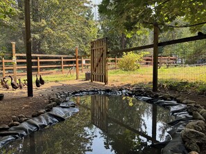 Overnattingsstedets uteområder