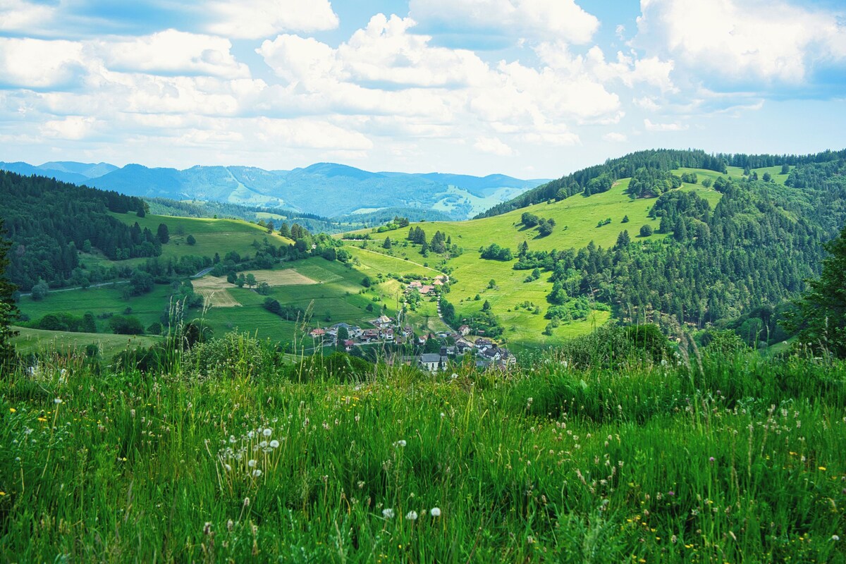 オーナーのプロフィール画像