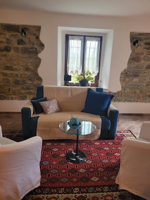 Televisión, chimenea y libros
