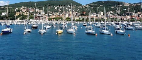 Marina