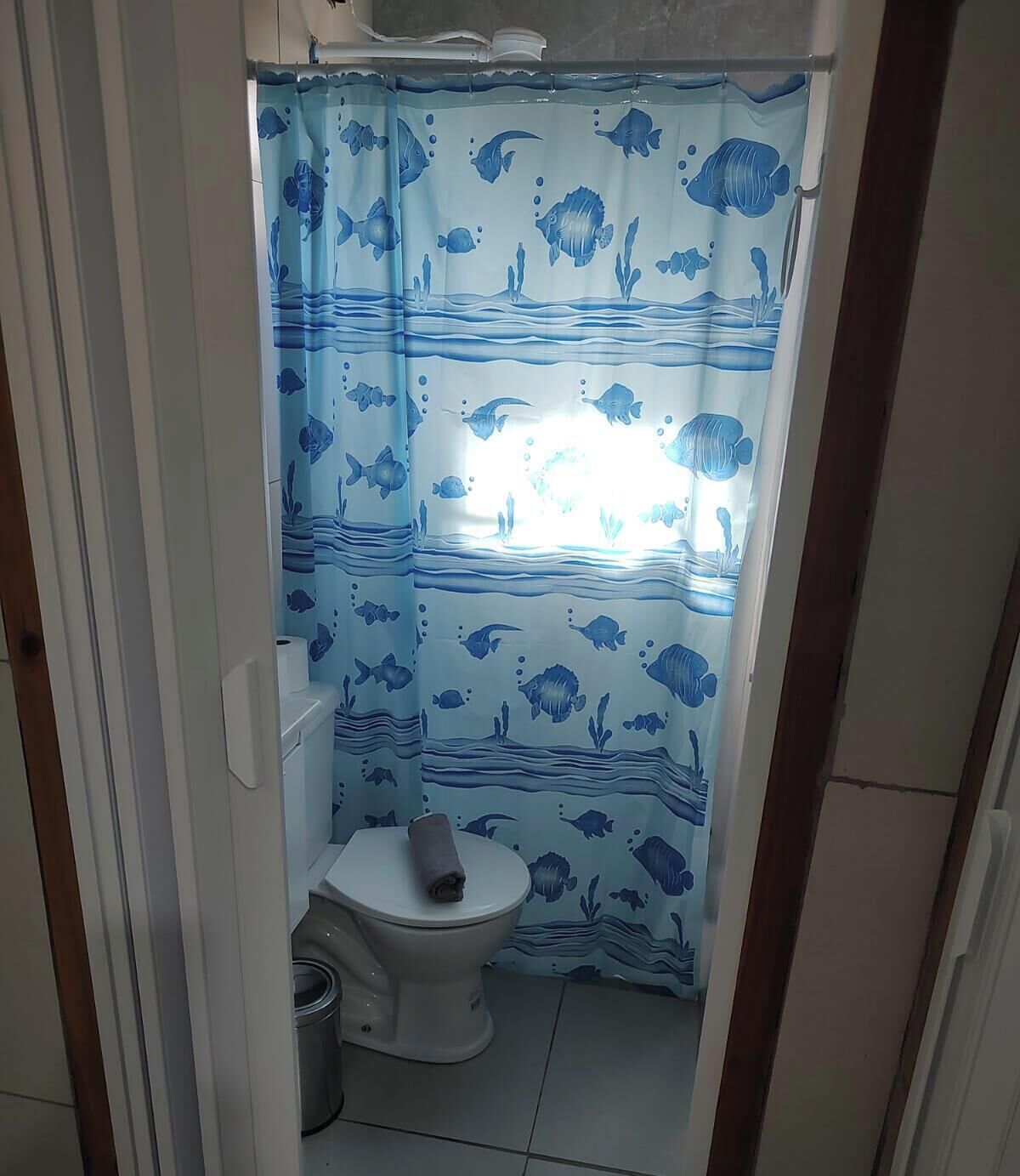 Shower, towels, toilet paper