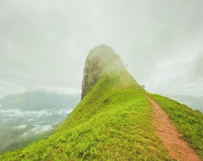 Building design - Little Stay Aarav JK Home Valley (Mudigere)