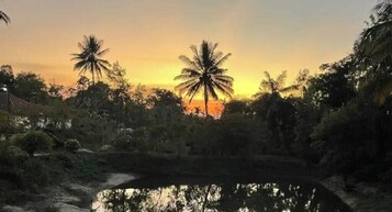 Diseño del edificio