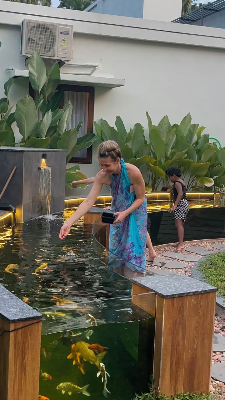 A person feeding fish in a pond with a water feature and plants.