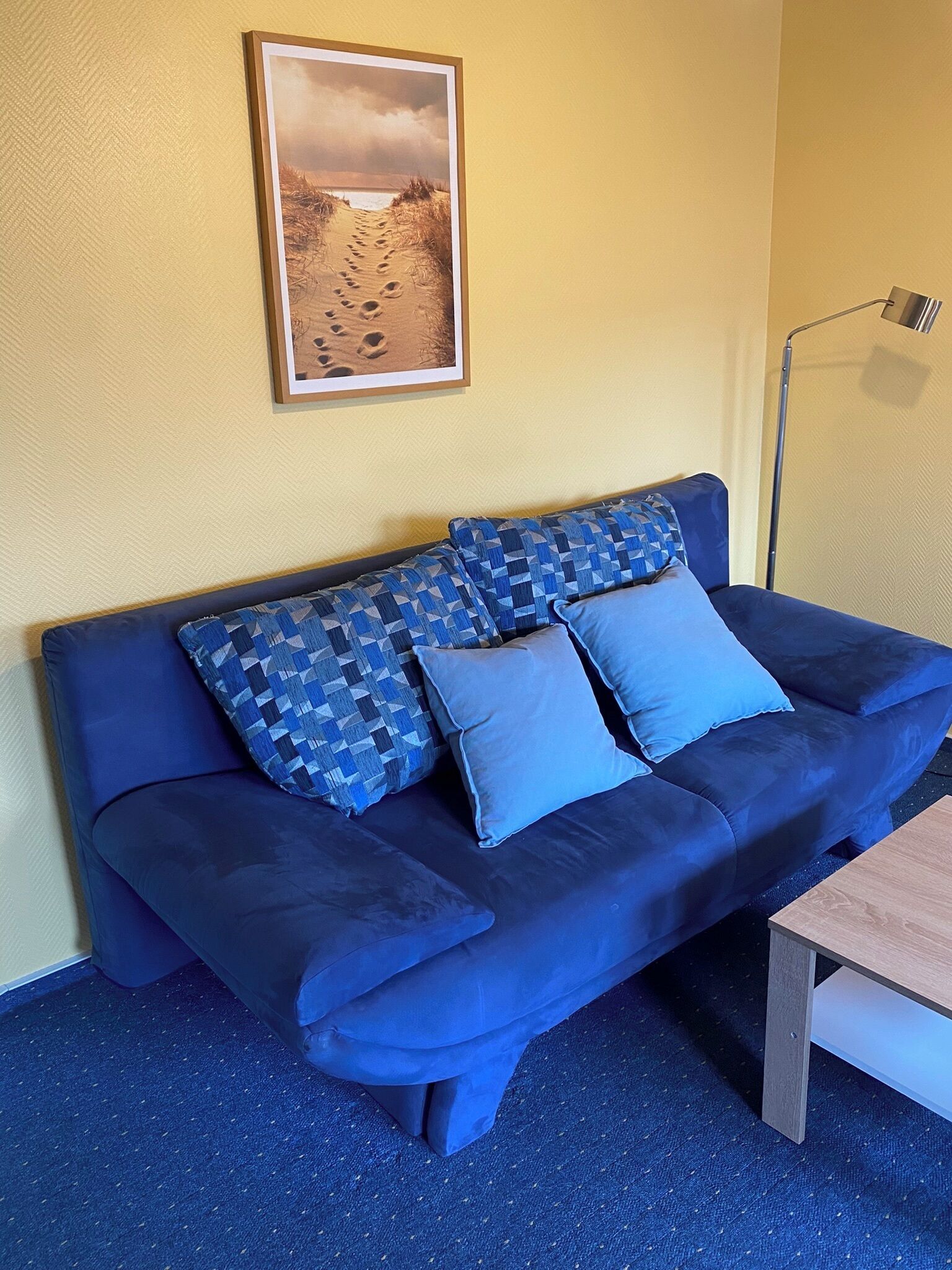 Tv, pejs, bordtennisbord, bøger