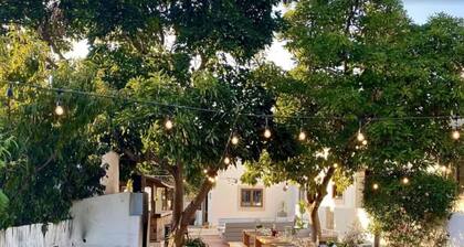 Rustic charm for groups at Orange Grove Farm