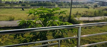 烏曼安達飯店及旅舍  