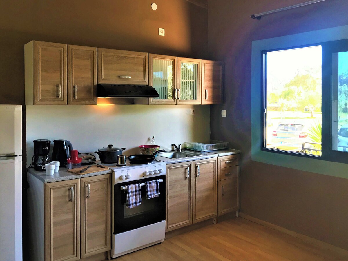 Imagen de perfil del propietario o de la propietaria