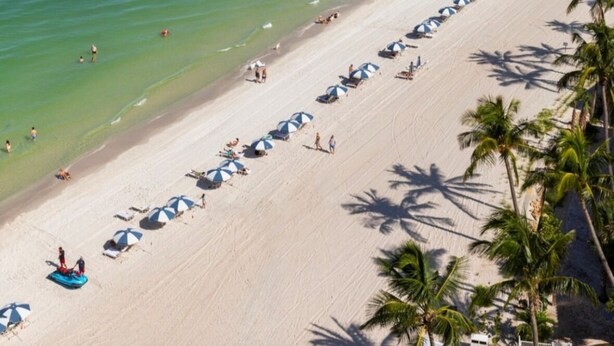 Una playa con hileras de sombrillas y sillas de descanso, palmeras y una vista despejada del océano.