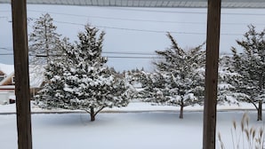 Paisaje nevado con árboles y una valla de madera.