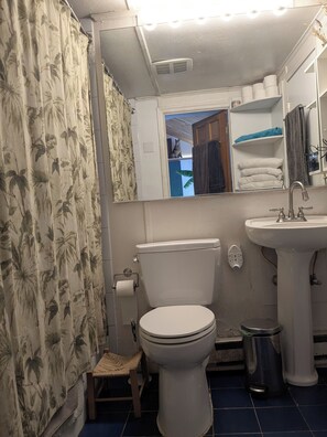 A bathroom with a toilet, sink, and shower curtain. - Tranquility and so close to Boston (Concord)