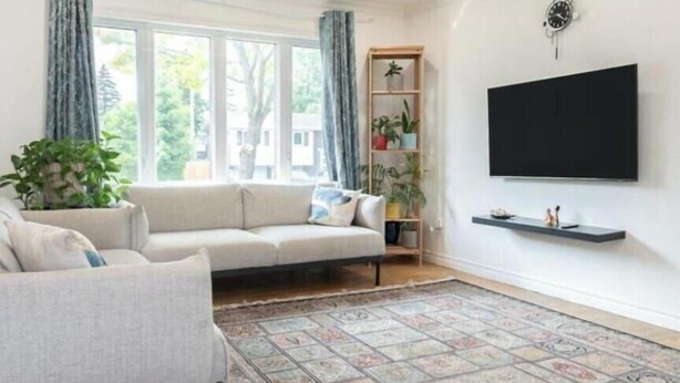 Ett vardagsrum med en soffa, en fåtölj, en tv som är monterad på väggen, en hylla för växter och en mönstrad matta.