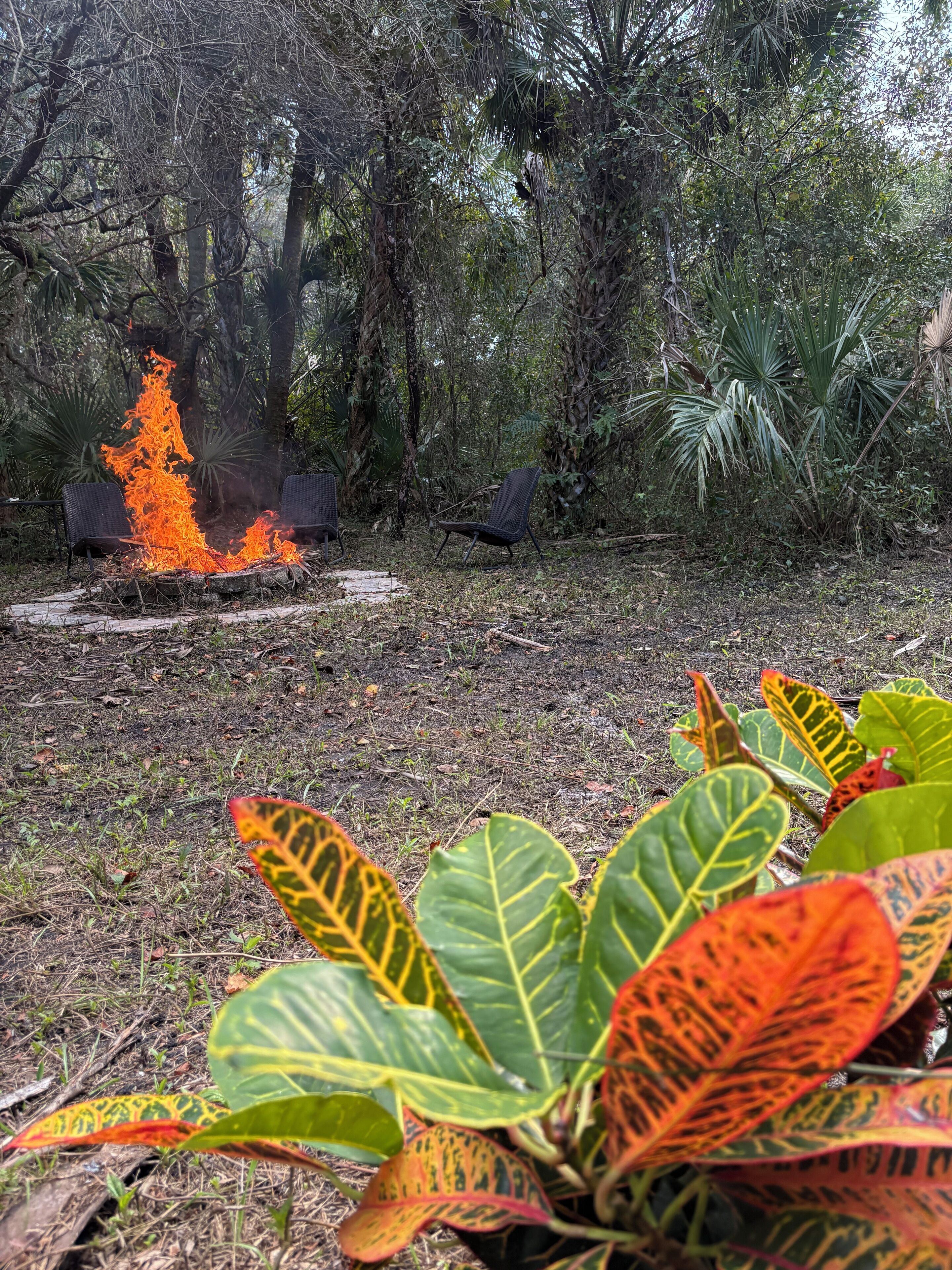 Área da propriedade