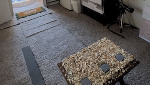 Een kamer met een televisie, bureau, stoel, raam en deur.