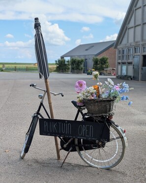 Terrein van de accommodatie