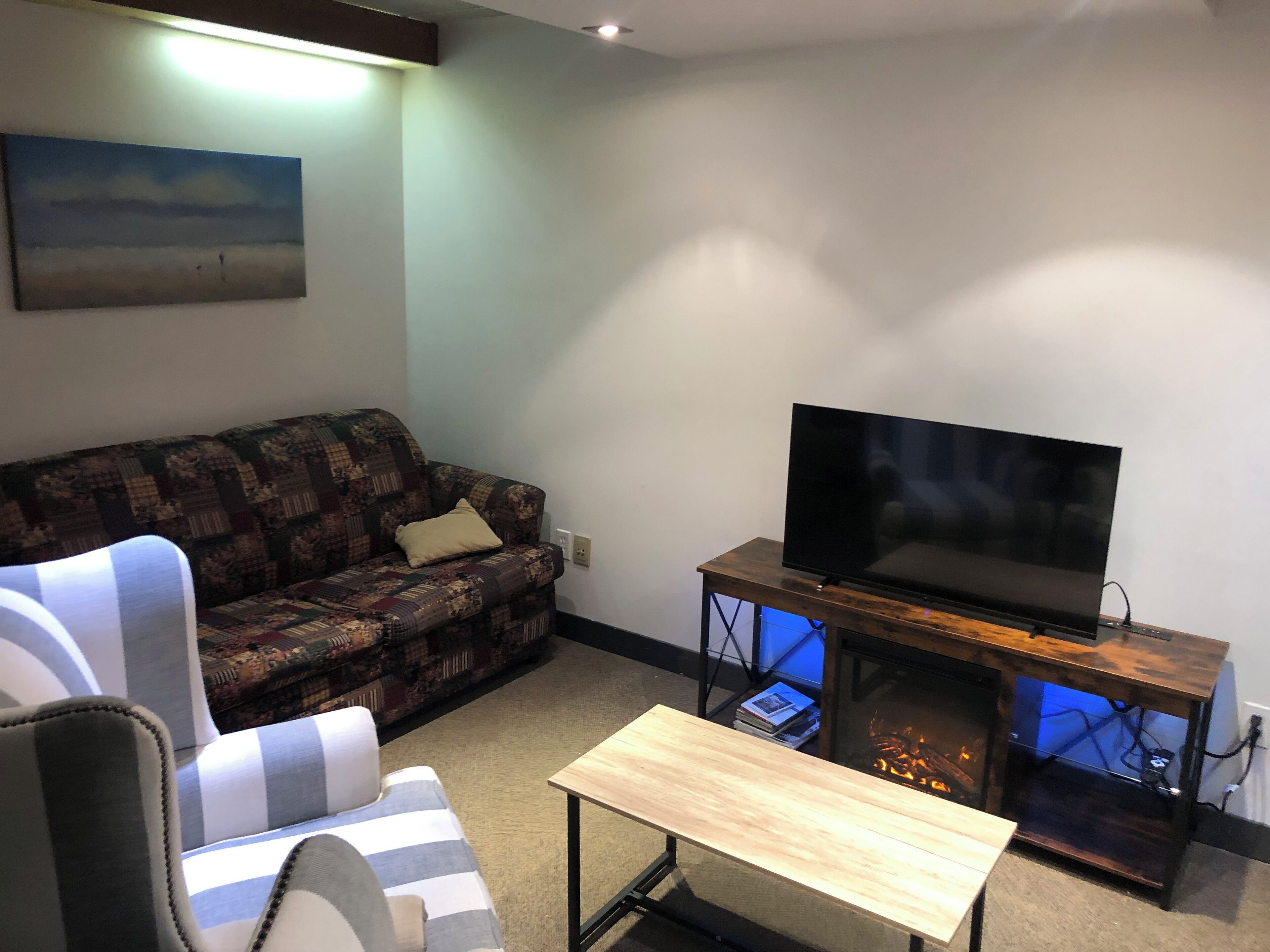 Smart TV, lareira, livros