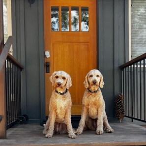 Exterior detail - Boat Dock - Lake Front - Dog Friendly - Sleeps 23 (Bass Lake)