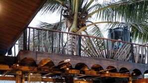 A covered outdoor seating area with lounge chairs, a brick wall, and a palm tree. - Sunsei Beach Negombo (Negombo)