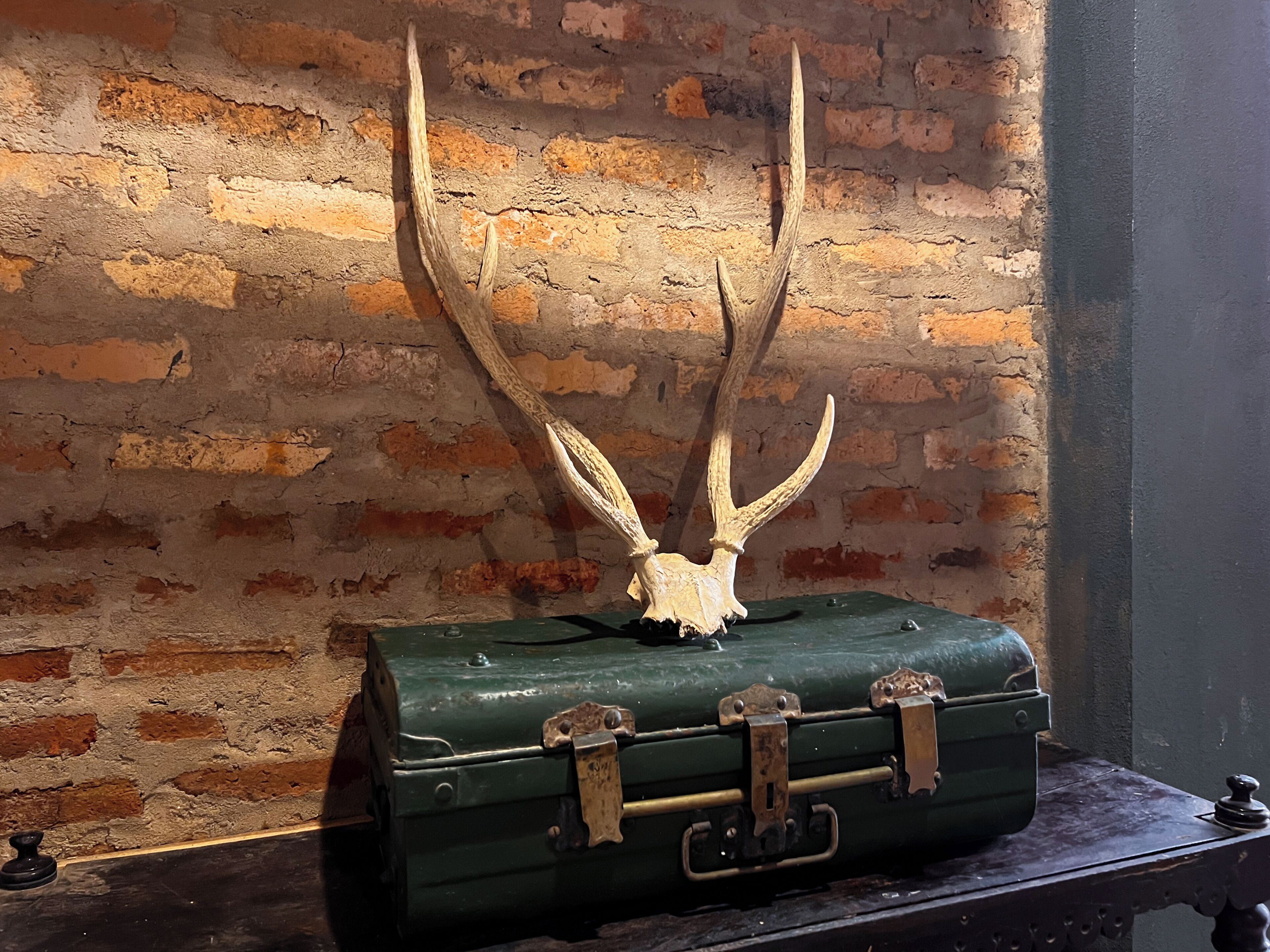 A green suitcase with a large antler headpiece on top, placed on a wooden surface against a brick wall.