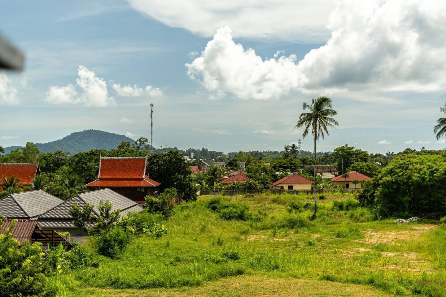 A rural landscape with traditional houses, a palm tree, and a mountain in the background.