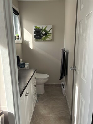 Shower, towels, toilet paper - Mont-Tremblant Condo (Mont-Tremblant)