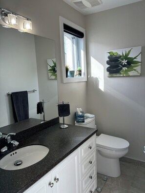 Shower, towels, toilet paper - Mont-Tremblant Condo (Mont-Tremblant)