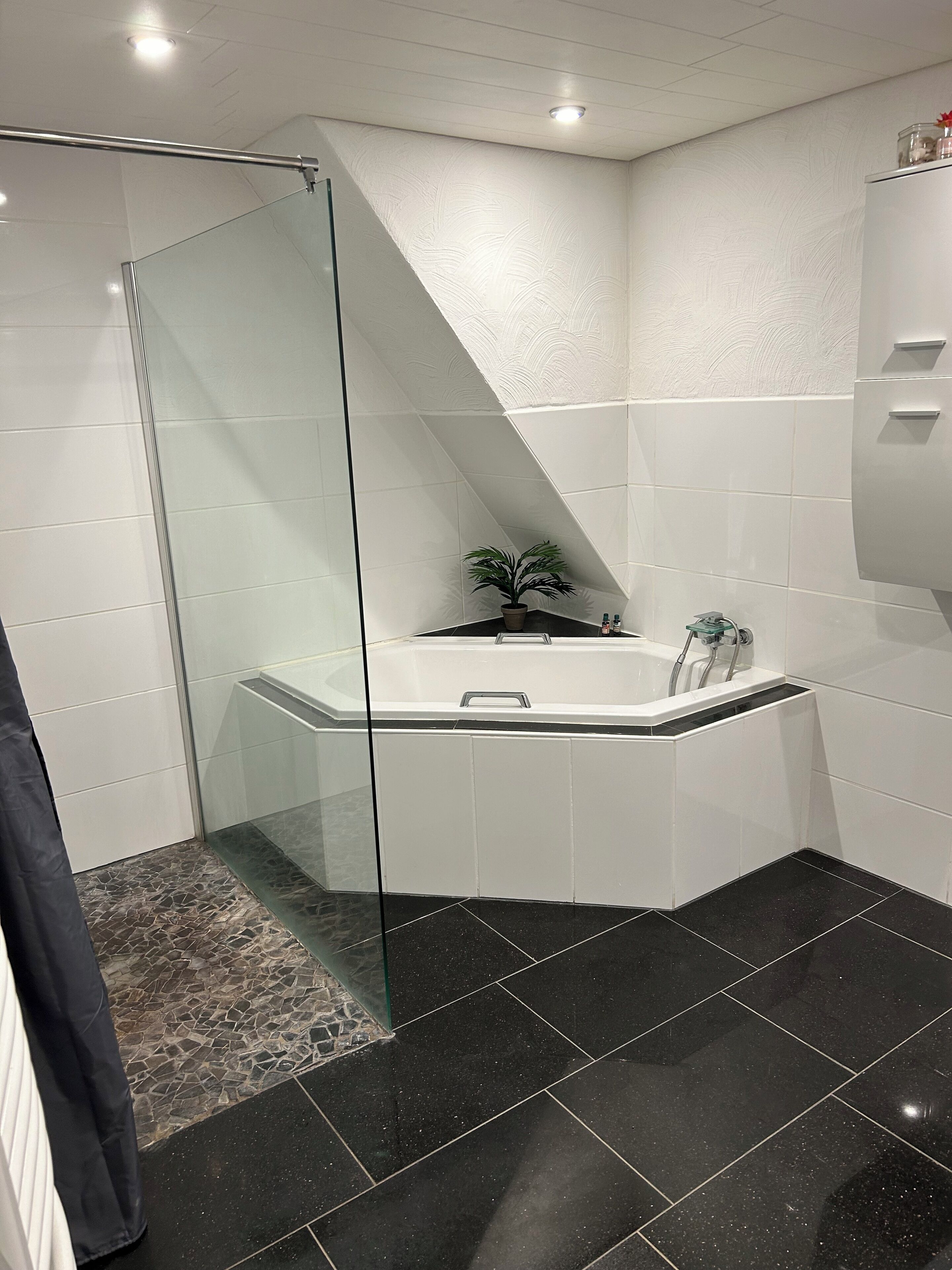 Asciugacapelli, asciugamani, sapone