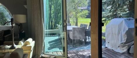 TV, fireplace, books